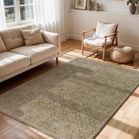 Galey Alix Vintage Oriental Boho Brown Olive Myrtle Avenue II Area Rug cm x 170 cm
