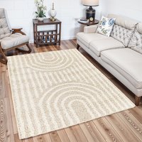 Shaggy Modern Plush Pile Christina Area Rug cm x 190 cm