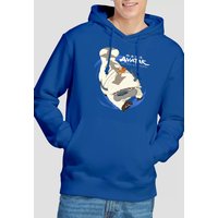 Avatar Last Airbender Appa Flight Hoodie Royal Blue