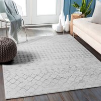 Berber Geometric High Pile Sofia Area Rug cm x 215 cm