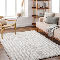 Shaggy Modern Plush Pile Christina Area Rug cm x 290 cm