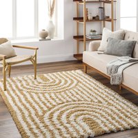 Shaggy Modern Plush Pile Christina Area Rug cm x 290 cm