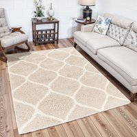Shaggy Cottage Plush Pile Judy Area Rug cm x 220 cm