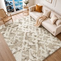 Shaggy Modern Plush Pile Paula Area Rug cm x 290 cm