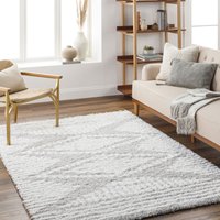 Shaggy Modern Plush Pile Nuria Area Rug cm x 290 cm