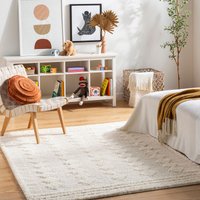 Shaggy Modern Plush Pile Elaheh Area Rug cm x 215 cm
