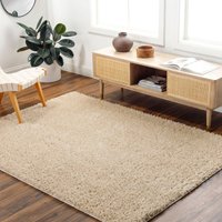 Shaggy Solid Plush Pile Soso Area Rug cm x 275 cm