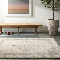 Becki Owens Lila Vintage Grey Brown Traditional Boho Living Dining Rug Pink cm x 215 cm