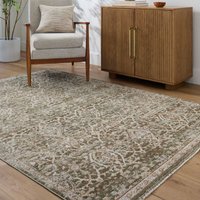 Galey Alix Vintage Oriental Boho Olive Cream Myrtle Avenue VI Area Rug cm x 230 cm