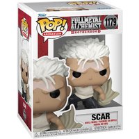 Pop Animation Full Metal Alchemist Scar Figure 1179