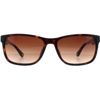 Rectangle Shiny Dark Havana Gradient SPLB40N Arcade 2 Sunglasses
