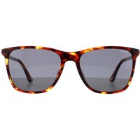 Rectangle Medium Shiny Havana Grey SPLD45 Origins 46 Sunglasses Brown