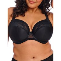 Elomi Women's Nerina Stretch Plunge Bra in Black | Size: 40E