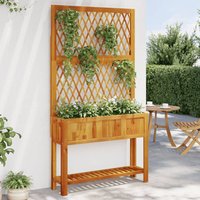 Planter Trellis & Shelf 100x32x185 cm Solid Wood Acacia x 32 x 185 cm