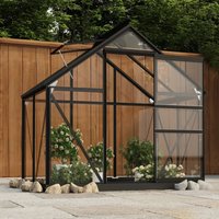 Glass Greenhouse Anthracite 155x103x191 cm Aluminium x 103 x 191 cm