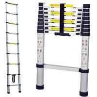 Alivio 3.2m Telescopic Ladder Extendable Collapsible Heavy Duty Max 150 KG in Silver