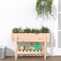Garden Raised Bed 101x30x69 cm Solid Wood Pine x 30 x 69 cm