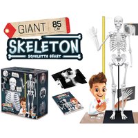 Buki Skeleton - 85cm in White | Size: 1 Pack