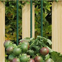 Berkfield Home Garden Plant Stakes 30 pcs Green 115 cm Steel
