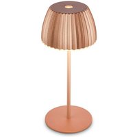 Riffle Mini Dimmable Rechargeable USB C Design Award LED Table Lamp