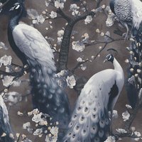 Abode Play Light Peacock Bird Feather Floral Flowers Wallpaper