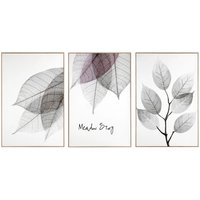 nielsen Set of 3 Framed Botanical Wall Art Prints by Deborah Pearce in Natural