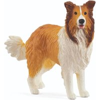 Farm Life Collie