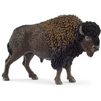 Wild Life Bison