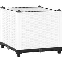 Berkfield Home Raised Bed 40x40x38 cm Polypropylene in White | Size: 40 x 40 x 38 cm