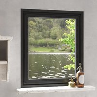 Berkfield Home Magnetic Insect Screen for Windows Anthracite 100x120 cm in Black