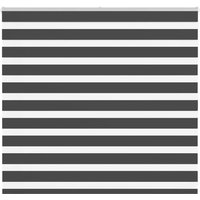 Berkfield Home Zebra Blind Black 160x100 cm Fabric Width 155.9 cm Polyester