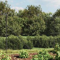 Berkfield Home Wire Mesh Fence Anthracite 2.2x25 m Galvanised Steel in Black