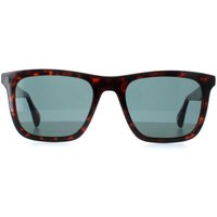 Square Milky Dark Brown TB1680 Filipe