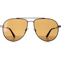 Aviator Gunmetal Painted Rim Brown TB1691 Maeve