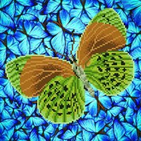 & FLUTTERBY EARTH Diamond Painting Kit Flutterby Earth Diamond Dotz