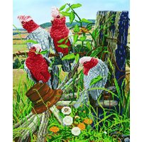& GALAH QUARTET Diamond Painting Kit Galah Quartet Diamond Dotz