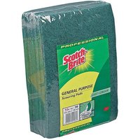 Professional General Purpose Scourers 10pk