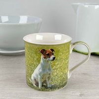 Animal Crackers Jack Russell Terrier Fine China Mug By Leonardo With All Round Print In Coloured Gift Box in Bright Green
