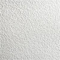 Superfresco Paintables Fibres Effect Textured White Durable Wallpaper | Size: 10000mm x 520mm