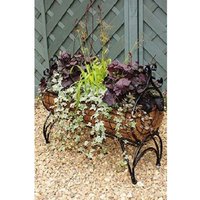 Poppyforge Regal 600 Planter - Solid Steel - L30xW60xH76 cm - Powder Coated Black