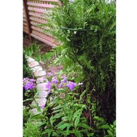 Poppyforge 15 x 20 Inches Border Support (Pack of 4) - Steel - L25.4xW38xH50.8 cm in Green