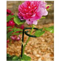 Poppyforge Large Single Stem Support BM/RtR (Pack of 4), Steel - L5 x W5 x H90 cm in Green
