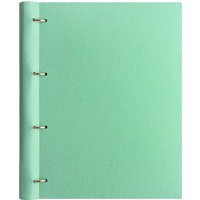 Filofax Classic Pastels A4 Clipbook in Duck Egg Blue