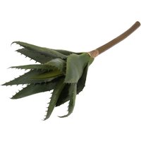 & S LENT ALOE 30CM Succulent Aloe 31 x 18cm 1 Piece Occasions Bulk x 18 cm