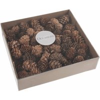 & PINECONES PK100 Pinecones 100 Pieces Occasions Bulk
