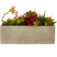 Orsina Fiori Mixed Succulents with Cement Pot in Grey