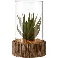Orsina Fiori Small Succulent with Stone Base in Natural
