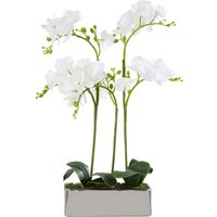 Orsina Fiori White Orchid Plant in Rectangular Pot in Silver