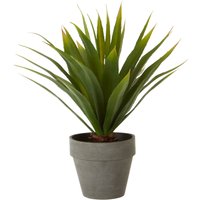 Orsina Fiori Agave Succulent, Cement Effect Pot in Grey