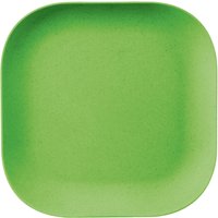 Eden Dinner Plate